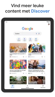 Google screenshot 6