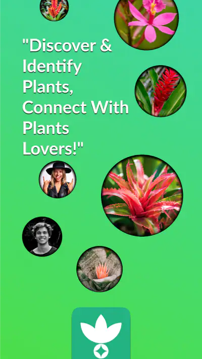 AnyPlant: AI Plant Identifier screenshot 1