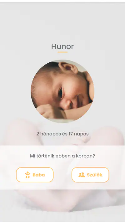 BabyHello Babagondozás 0-2 év screenshot 1
