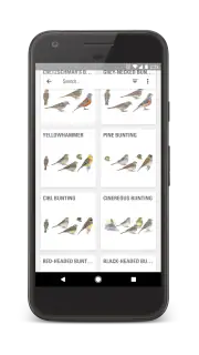 ANWB Vogelgids van Europa screenshot 2