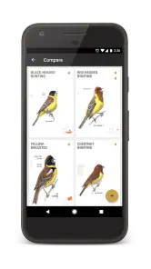 ANWB Vogelgids van Europa screenshot