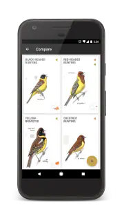 ANWB Vogelgids van Europa screenshot 6