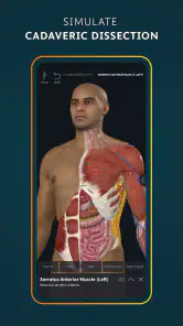 Complete Anatomy screenshot