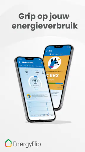 EnergyFlip screenshot 1