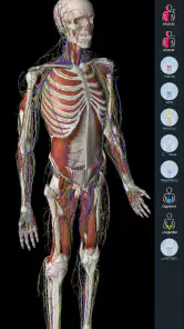 Essential Anatomy 5 screenshot
