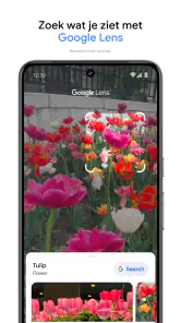 Google Foto's screenshot