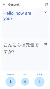 Google Translate screenshot