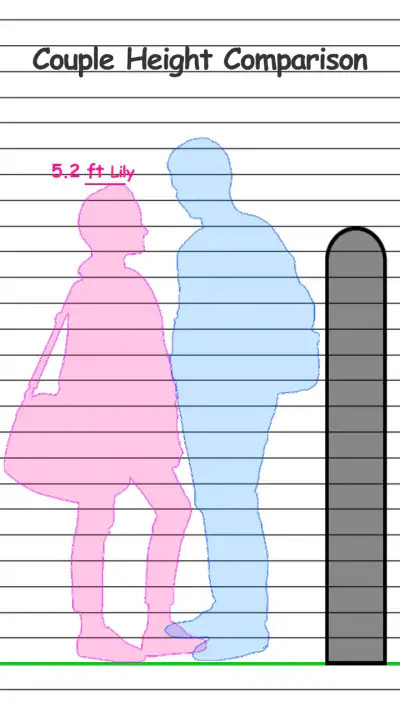 Height Measurement App screenshot 1
