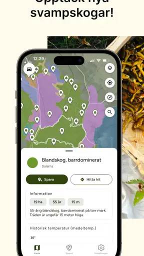 Hitta Skog: Svamp och Bär screenshot 1