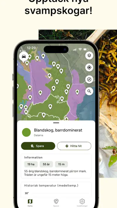 Hitta Skog: Svamp och Bär screenshot 1
