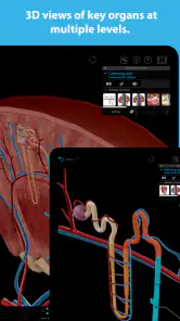 Human Anatomy Atlas 2026 screenshot