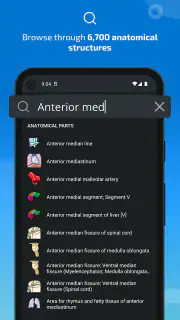 IMAIOS e-Anatomy screenshot 3