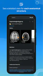 IMAIOS e-Anatomy screenshot 5