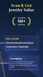 Jewelry Identifier Gem Scanner screenshot 2
