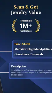 Jewelry Identifier Gem Scanner screenshot 6