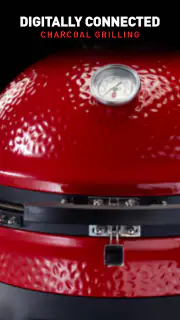 Kamado Joe screenshot 8