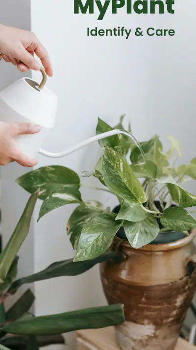 MyPlant: Identify & Care screenshot 1