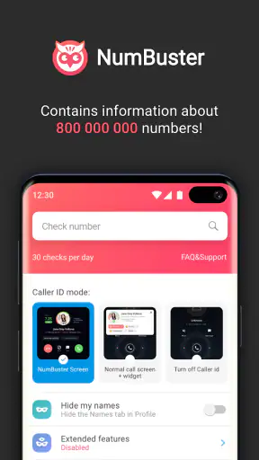 NumBuster screenshot 1