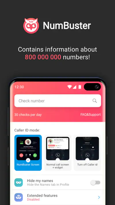 NumBuster screenshot 1