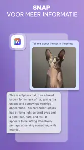 Opera-browser met VPN screenshot
