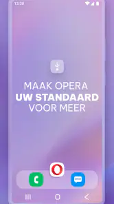 Opera-browser met VPN screenshot