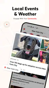 Opera News: breaking & local screenshot