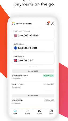 Payoneer screenshot 1