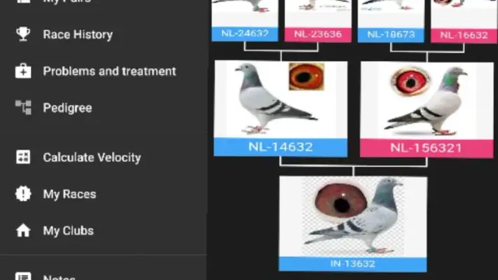 Pigeon Loft Manager screenshot 1