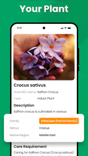 Planten Herkennen - Plantio screenshot 7