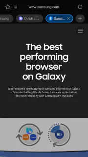 Samsung Browser screenshot 2