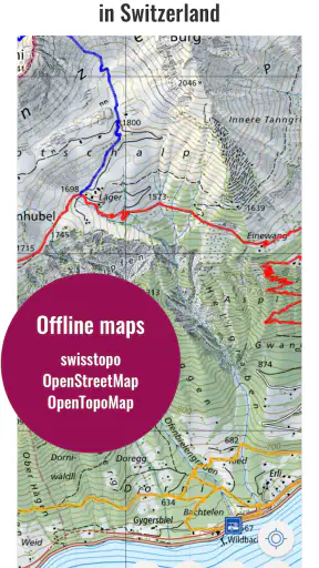 Swiss Pro Map screenshot 1