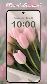 ThemeKit - Thema's en widgets screenshot