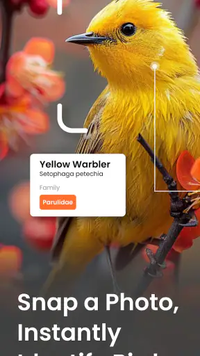 Vogelgeluiden Herkennen App screenshot 1