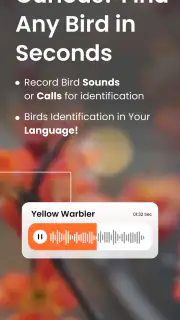 Vogelgeluiden Herkennen App screenshot 8