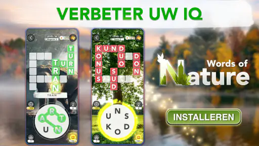 Woordspelletjes Nederlands screenshot