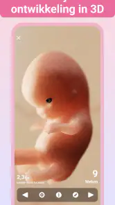 Zwangerschap + | Pregnancy App screenshot