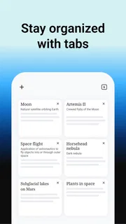 Wikipedia screenshot 2
