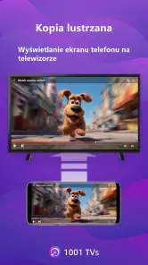 1001 TVs--Odbicie lustrzane ek screenshot
