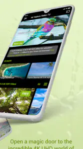 4K Nature Relax TV screenshot