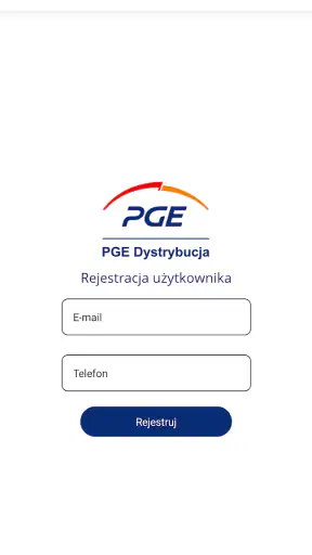 991 Assistant PGE Dystrybucja screenshot 1