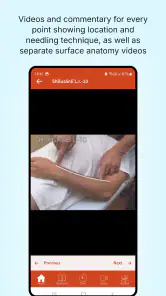 A Manual of Acupuncture 2025 screenshot