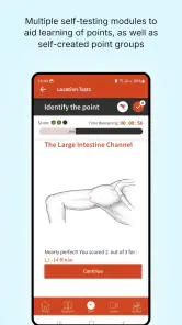 A Manual of Acupuncture 2025 screenshot