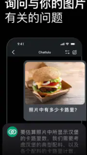 AI Chatlulu:All-in-One-Tools screenshot 7