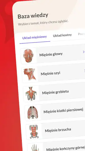 Anatomik screenshot 1