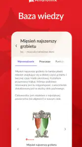 Anatomik screenshot
