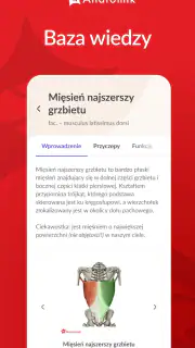 Anatomik screenshot 3