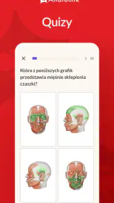 Anatomik screenshot