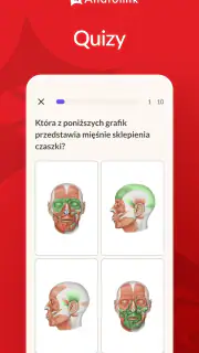 Anatomik screenshot 4