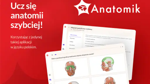 Anatomik screenshot