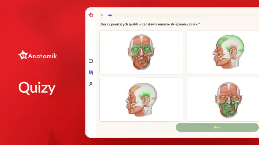 Anatomik screenshot